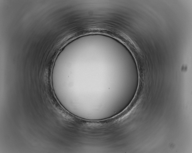 X0000091490825200708161208