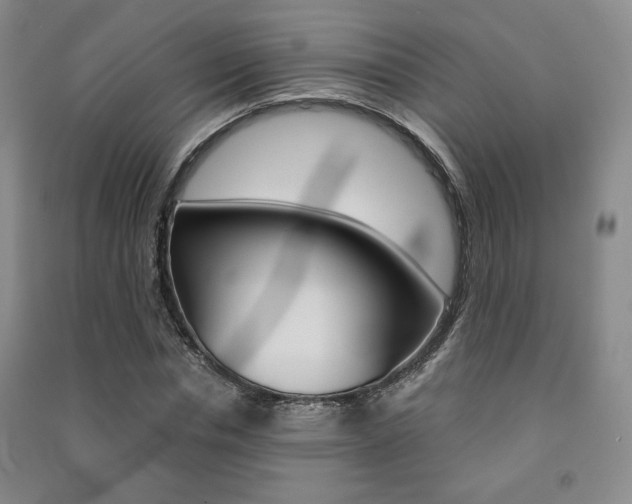 X0000091490826200708161208