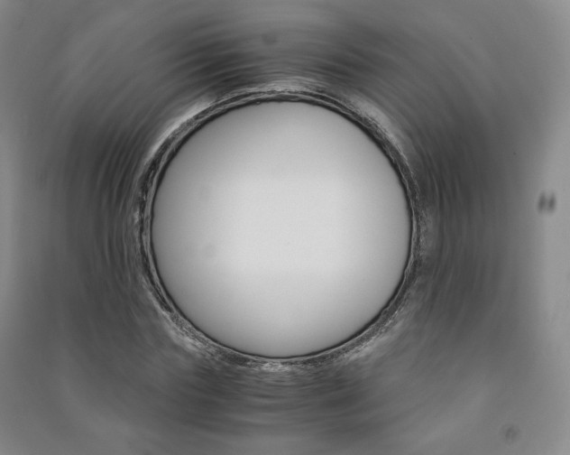 X0000091490827200708161208