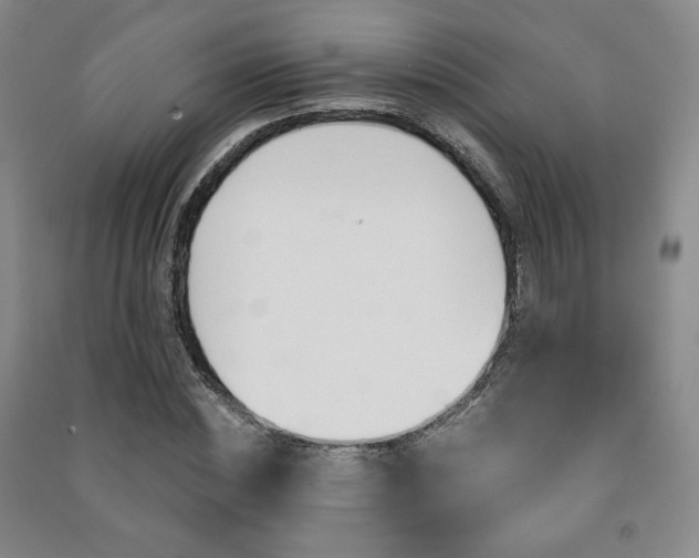X0000091490828200708161208