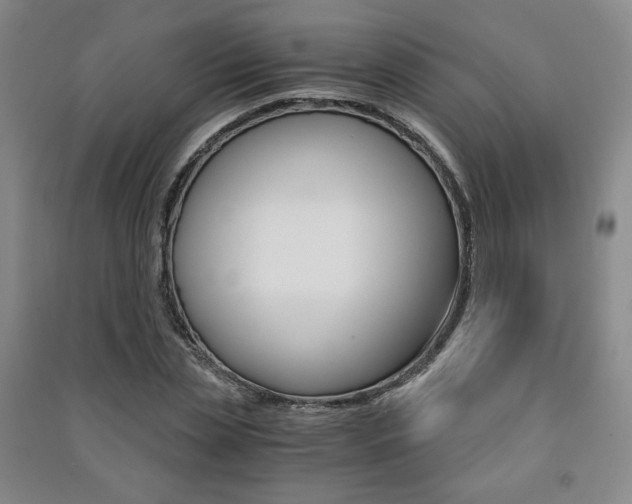 X0000091490829200708161208