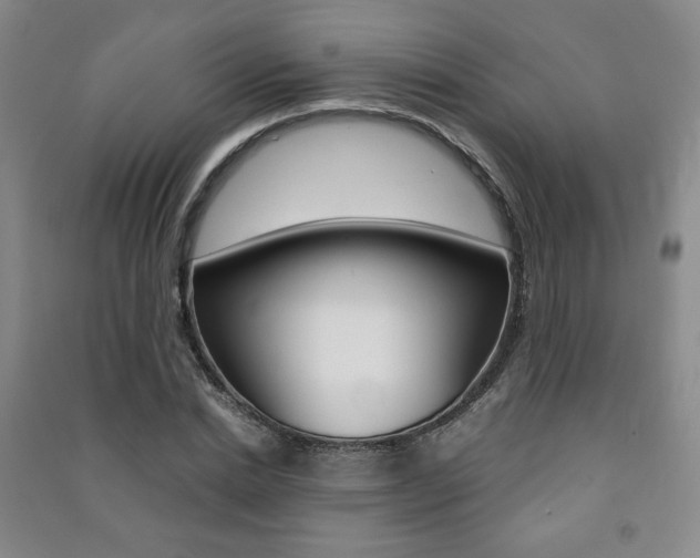 X0000091490830200708161208