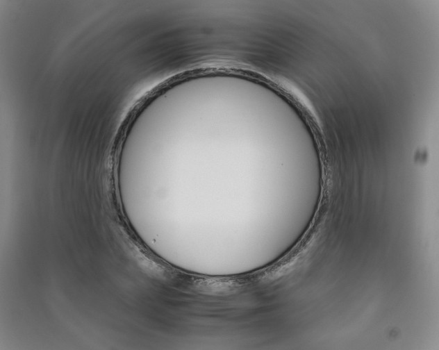 X0000091490831200708161208