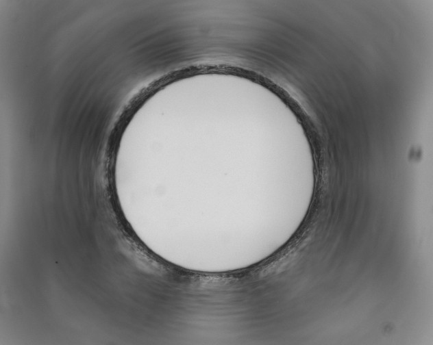 X0000091490832200708161208