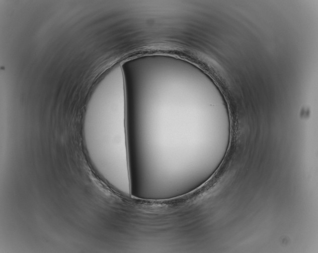 X0000091490833200708161208