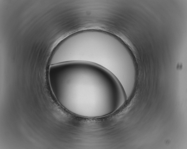X0000091490834200708161208