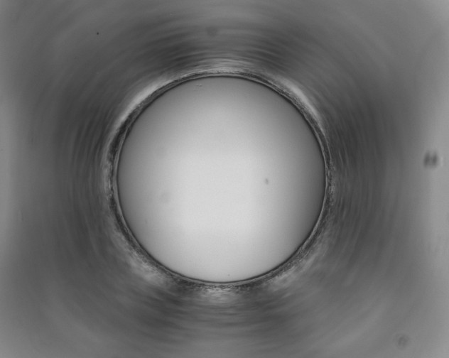 X0000091490835200708161208