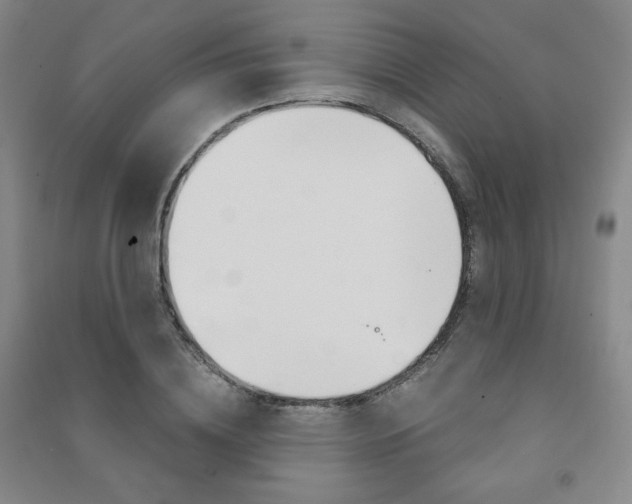 X0000091490836200708161208