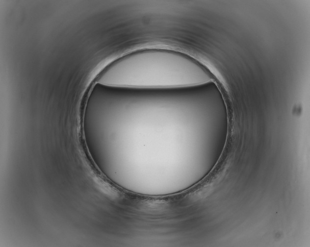 X0000091490837200708161209
