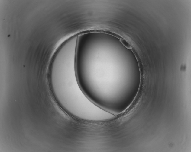 X0000091490838200708161209