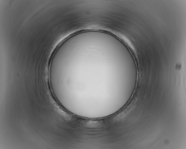 X0000091490839200708161209
