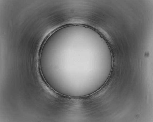 X0000091490840200708161209