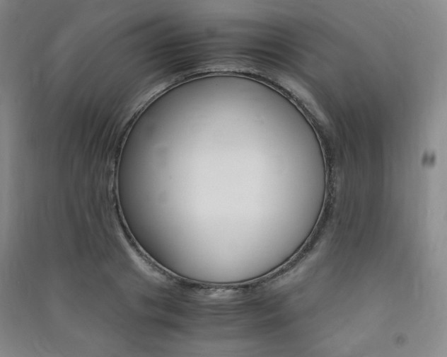 X0000091490841200708161209