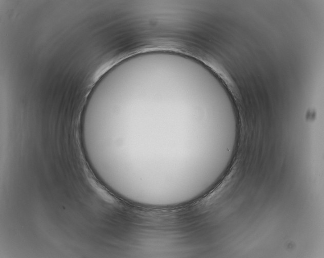 X0000091490842200708161209