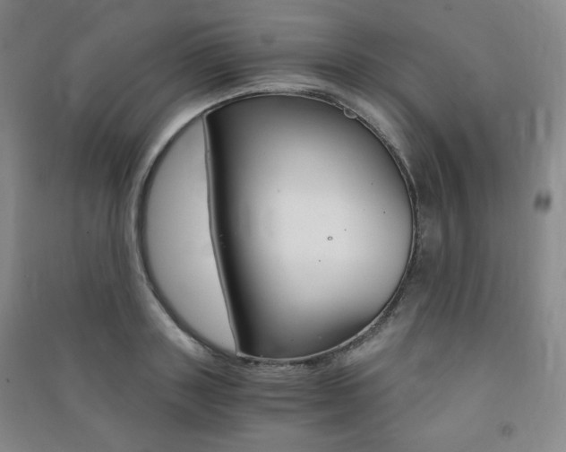 X0000091490843200708161209