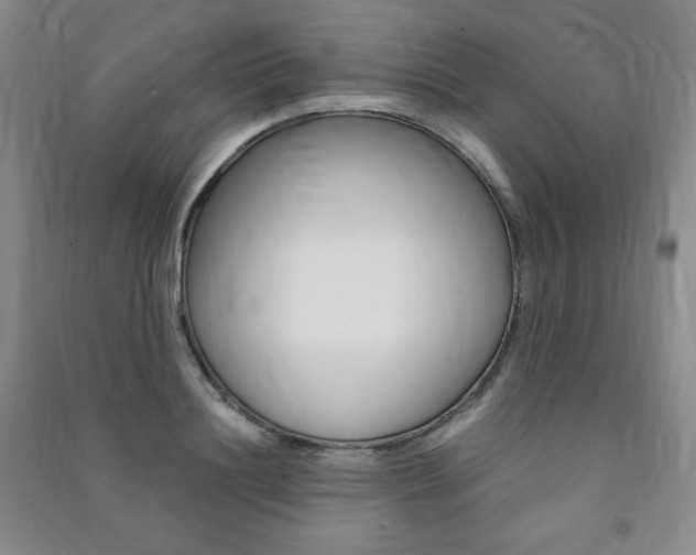 X0000091490844200708161209