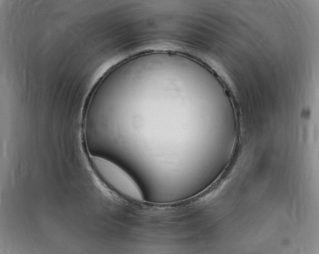X0000091490845200708161209