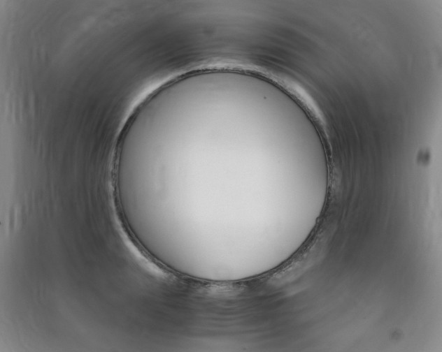 X0000091490847200708161209