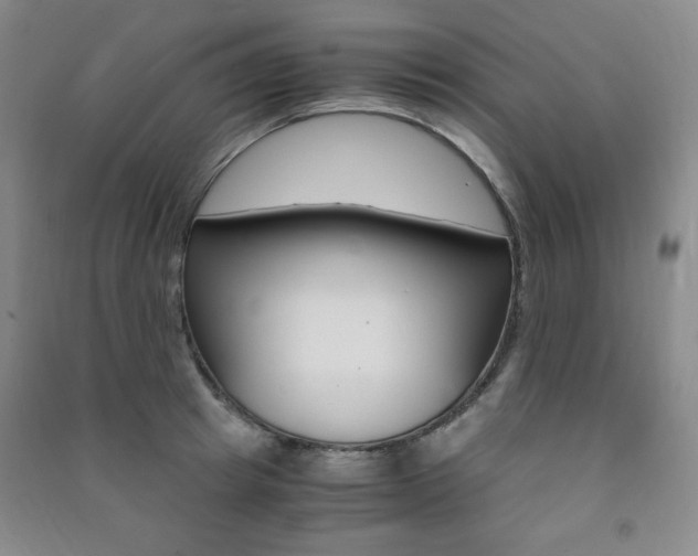 X0000091490849200708161209