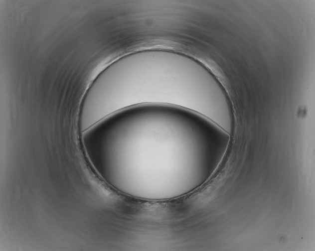 X0000091490850200708161209