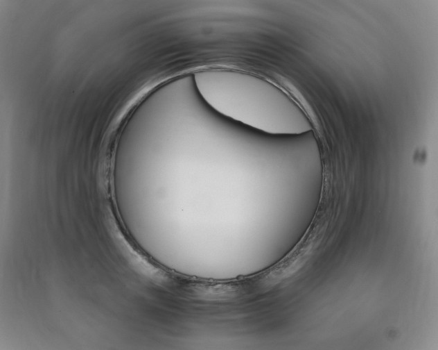 X0000091490851200708161209