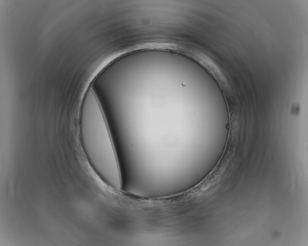X0000091490852200708161209