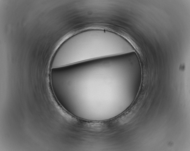 X0000091490853200708161209