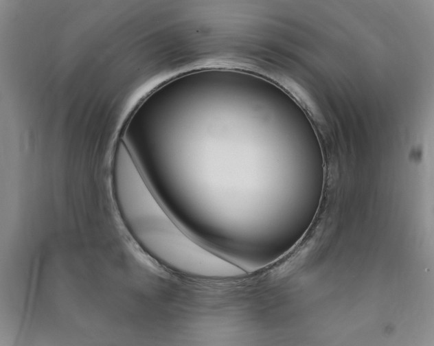 X0000091490854200708161209