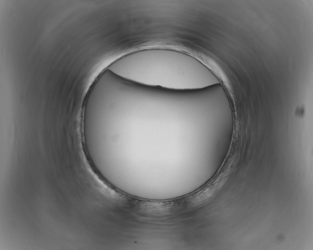 X0000091490855200708161209