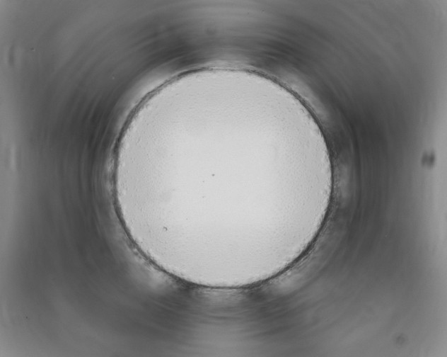 X0000091490856200708161209
