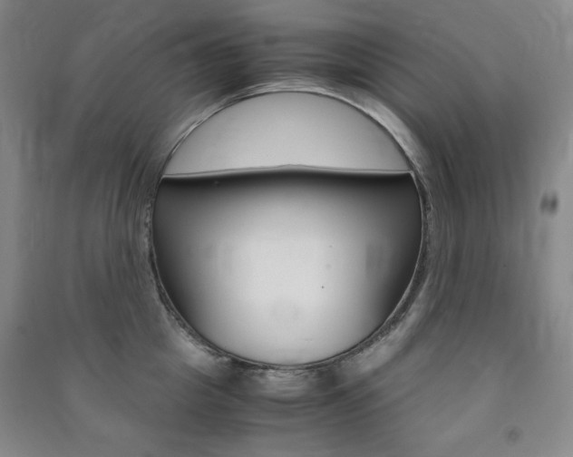 X0000091490857200708161209