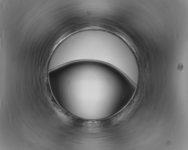 X0000091490858200708161209