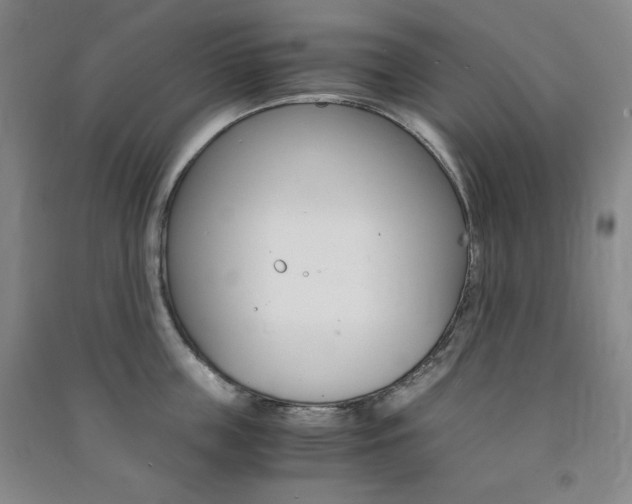 X0000091490859200708161209