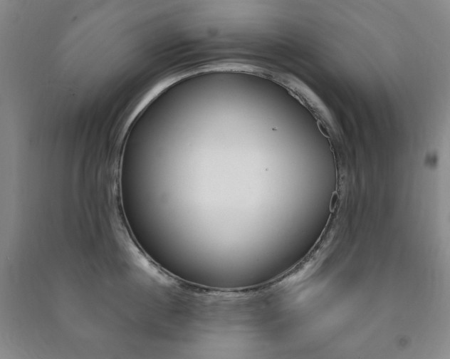 X0000091490860200708161209