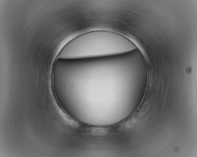 X0000091490861200708161209