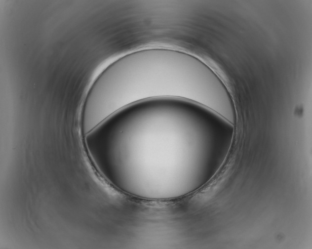 X0000091490862200708161209