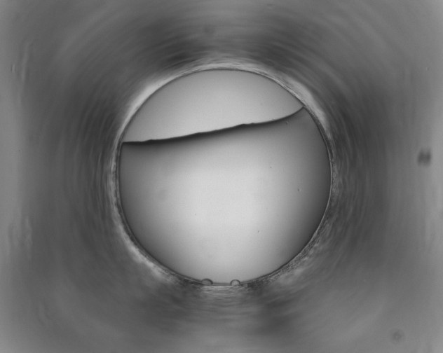 X0000091490863200708161209