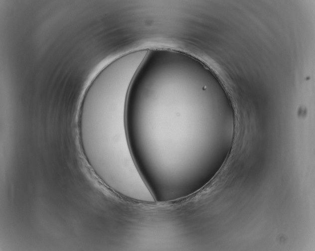 X0000091490864200708161209