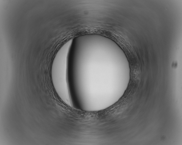 X0000091490865200708161208