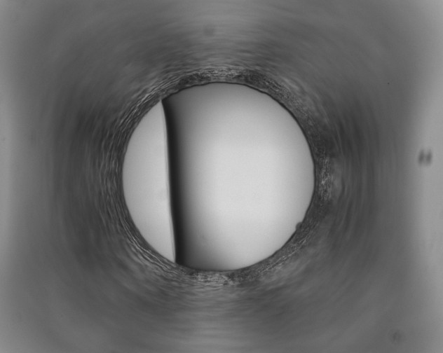 X0000091490866200708161208