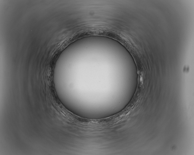 X0000091490867200708161208