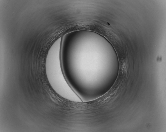 X0000091490868200708161208