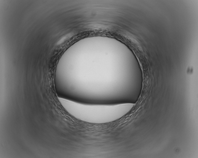X0000091490869200708161208