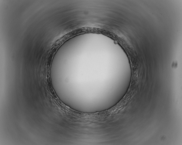 X0000091490870200708161208