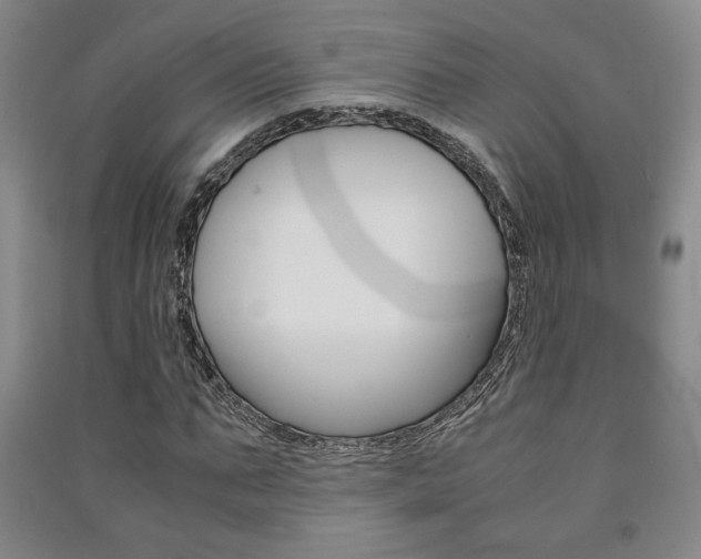 X0000091490871200708161208