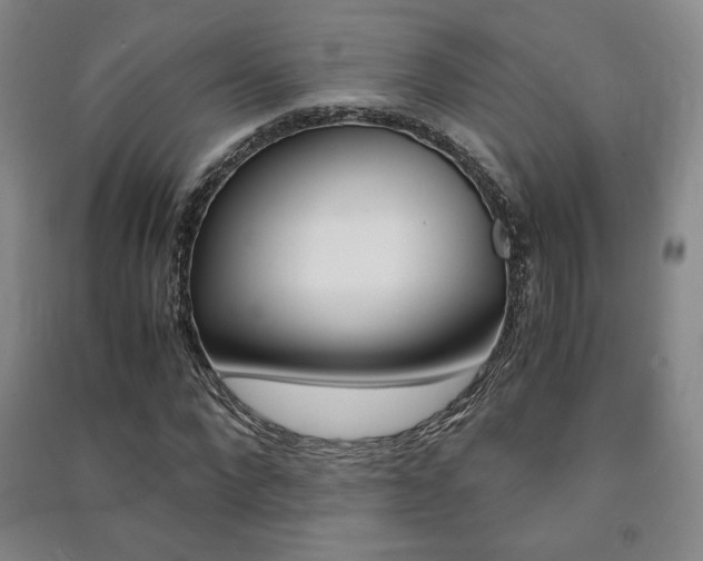 X0000091490872200708161208