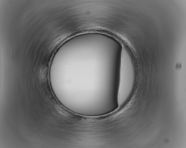 X0000091490873200708161208