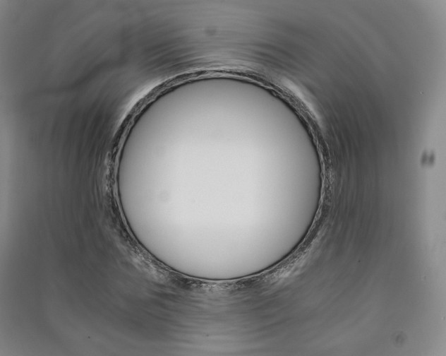 X0000091490875200708161208