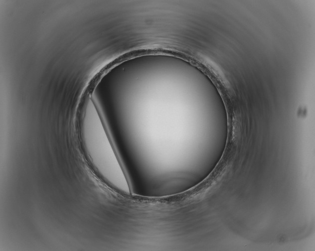 X0000091490876200708161208