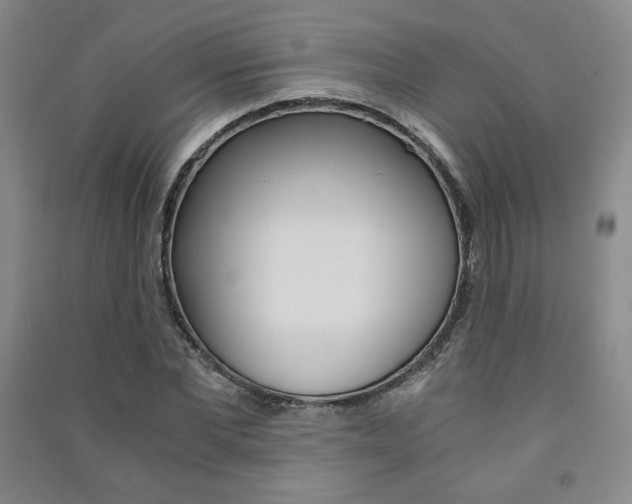 X0000091490877200708161208